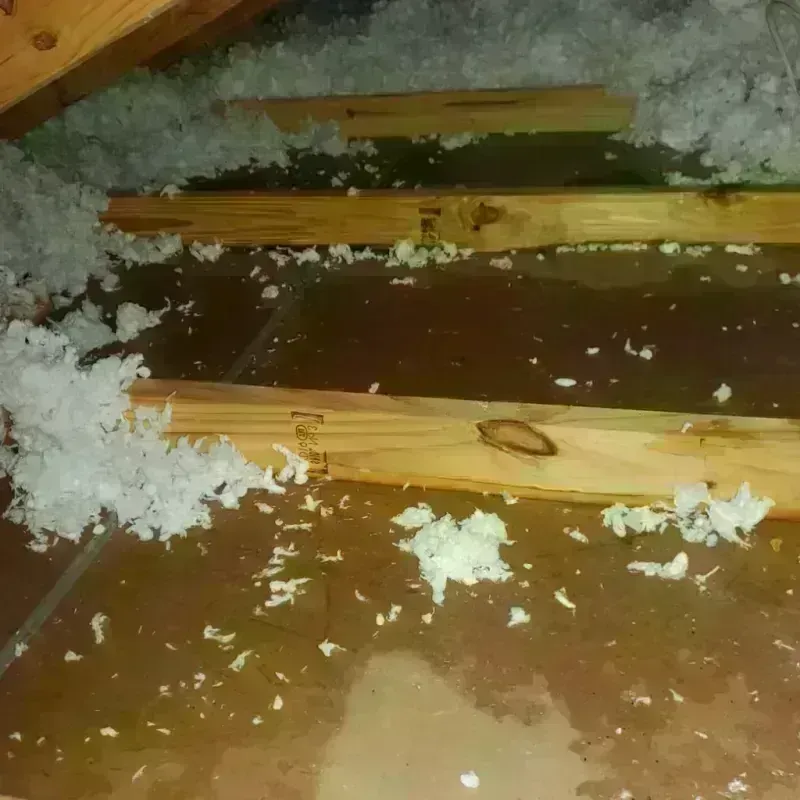 Attic Water Damage in Clinton, CT