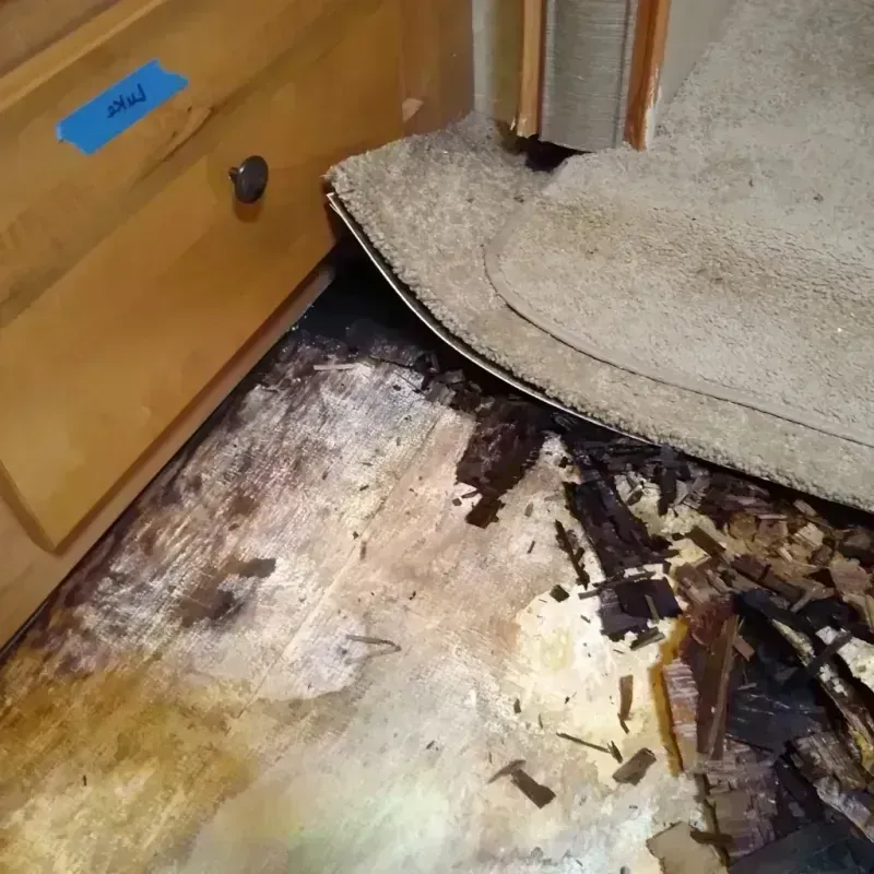 Best Wood Floor Water Damage Service in Clinton, CT